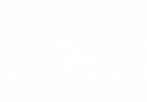 NT-Logo-white